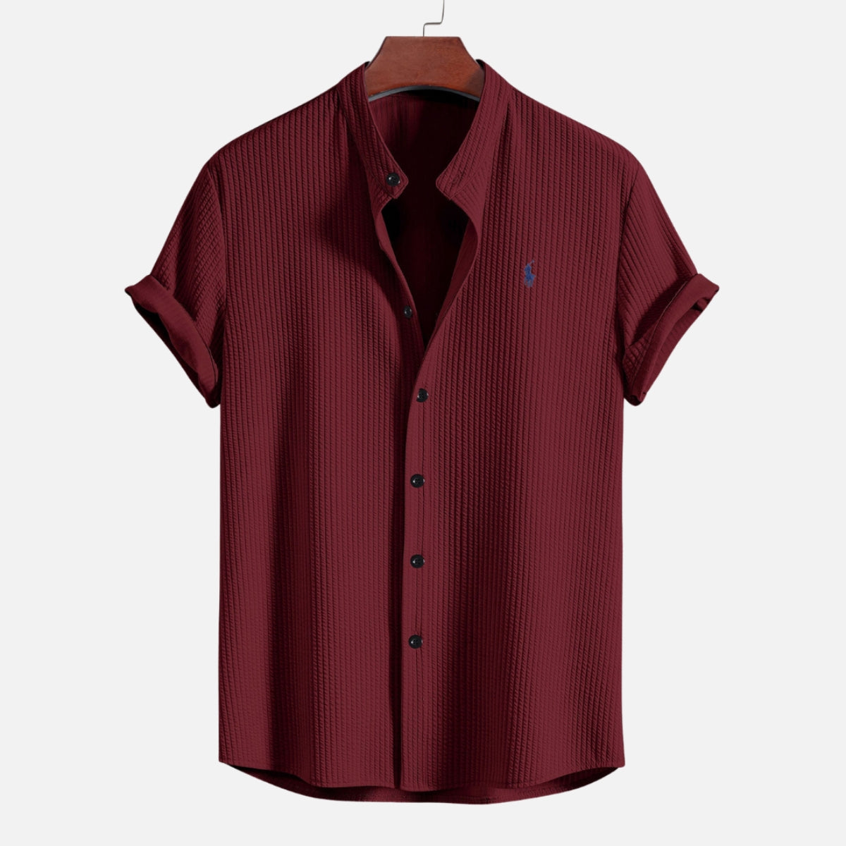 Polo Hampton Collar Shirt