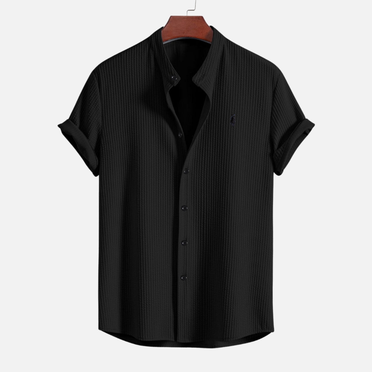 Polo Hampton Collar Shirt