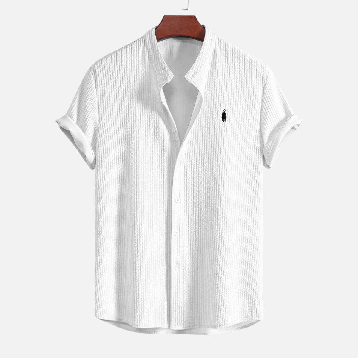 Polo Hampton Collar Shirt
