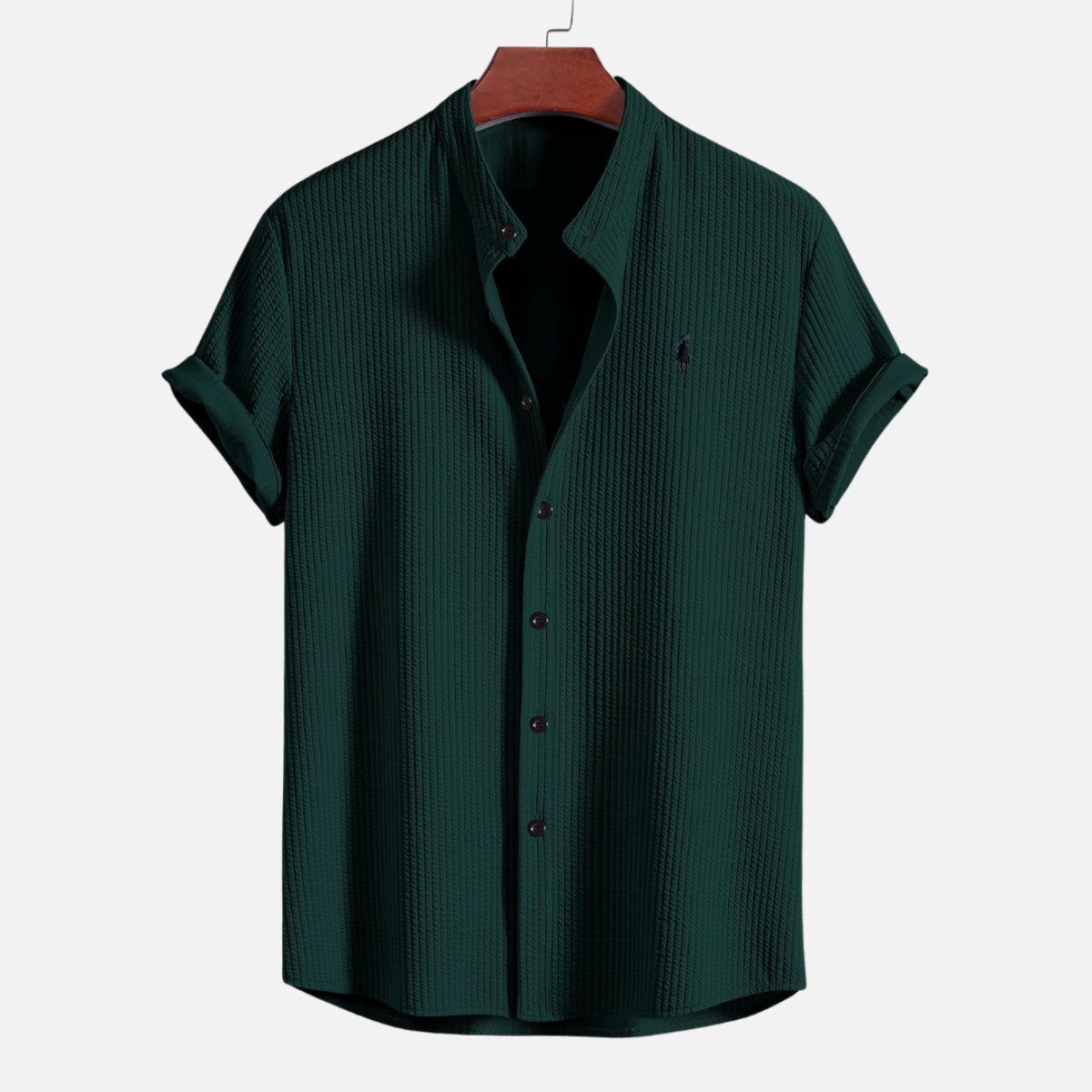 Polo Hampton Collar Shirt